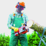 Elettrosega a batteria Einhell GE-LC 18 Li Kit (1x3,0Ah) - immagine 2