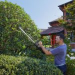 Tagliasiepe Alpina a batteria AHT 20 - immagine 4