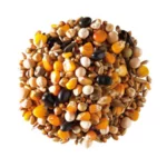 Misto piccioni Giuntini 25 Kg - immagine 2