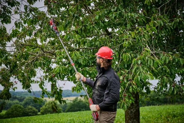 Svettatoio a batteria Einhell GP-LS 18/28 Li BL-Solo con asta telescopica